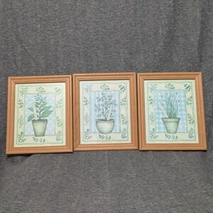 Set of 3 Vintage Robin Betterley Herb Art Prints Glass Framed 11.5x9.5